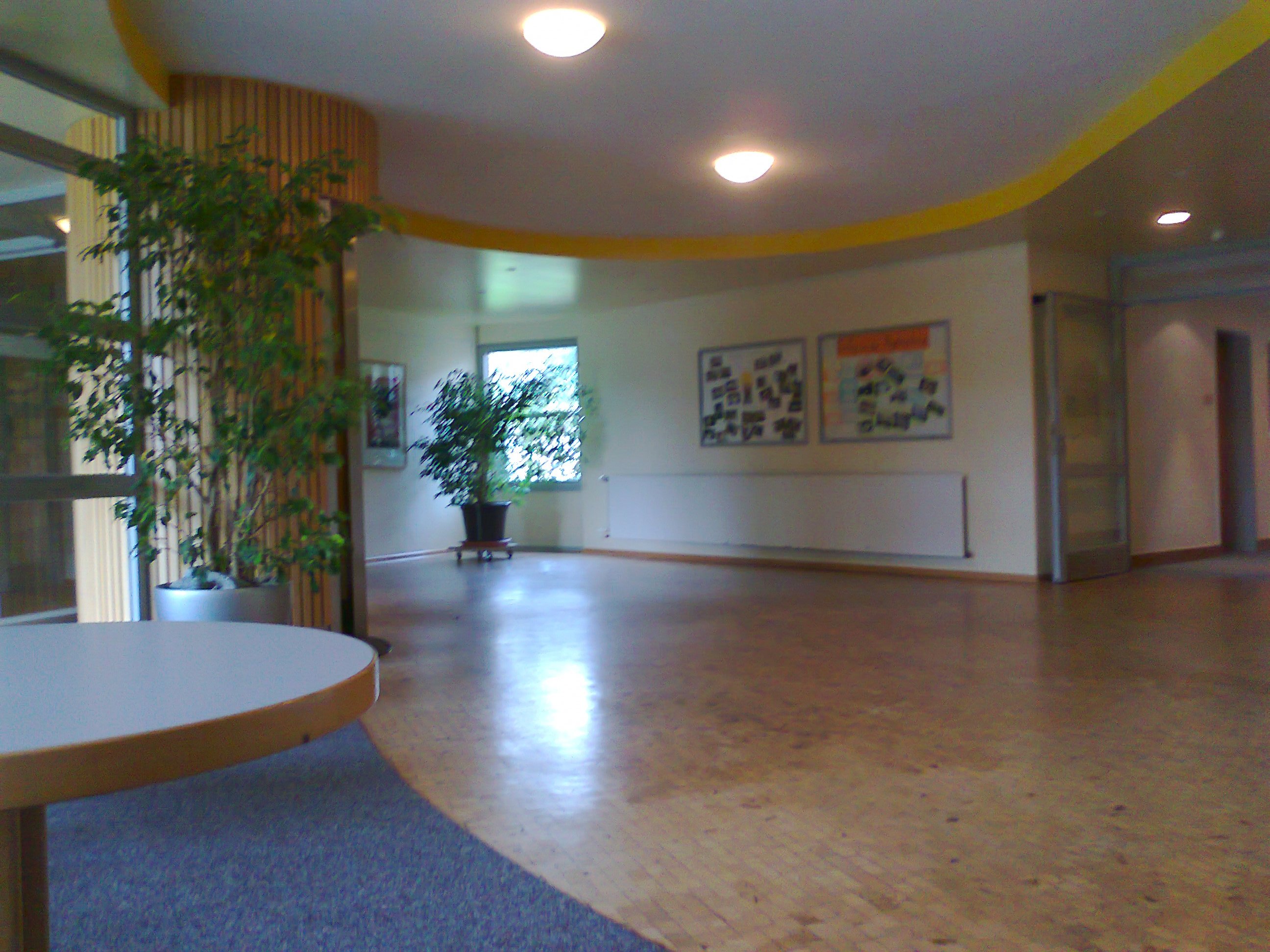 Foto0615